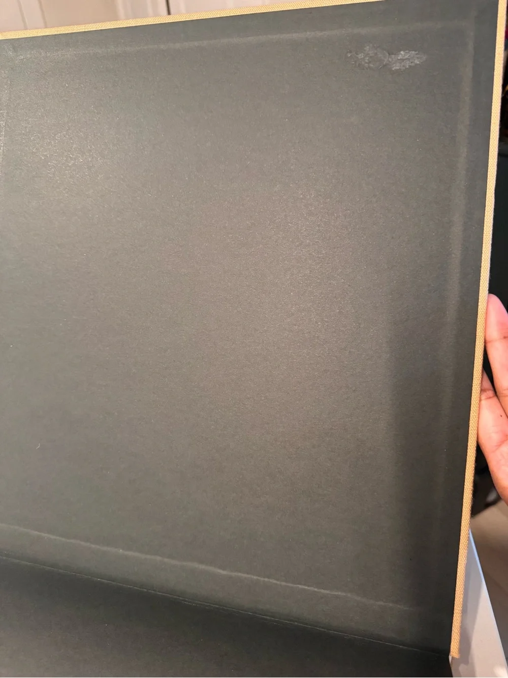 Fendi Baguette Coffee Table Book (new, out of print)